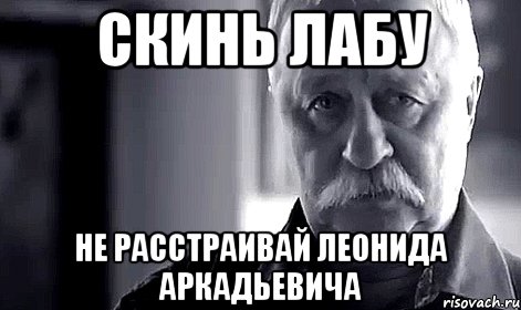 скинь лабу не расстраивай леонида аркадьевича, Мем Не огорчай Леонида Аркадьевича