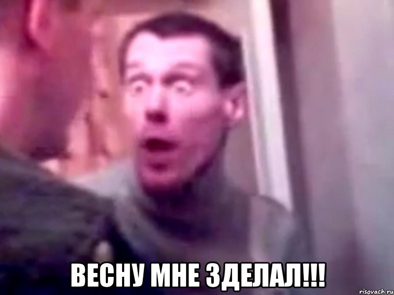  весну мне зделал!!!, Мем Запили