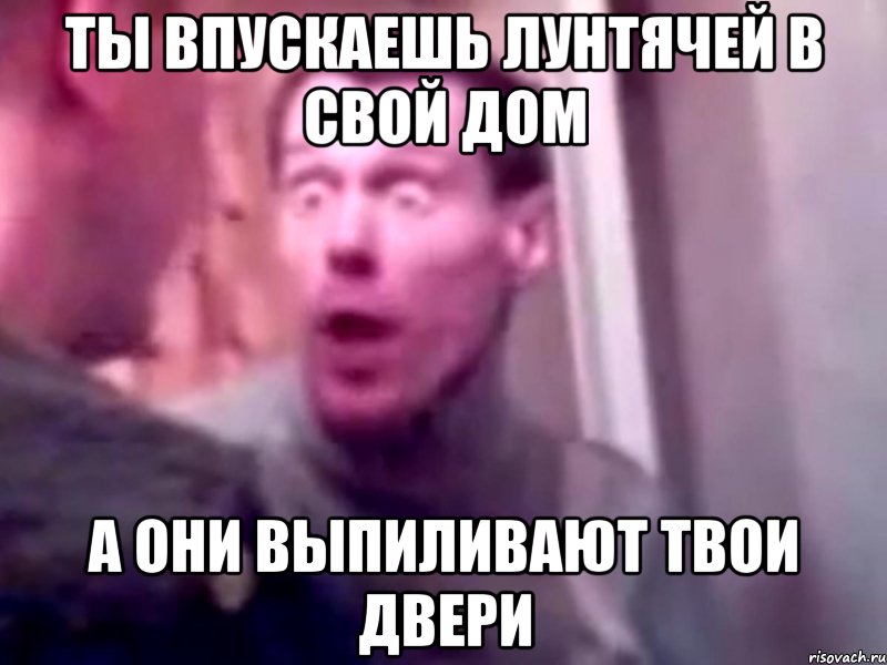 ты впускаешь лунтячей в свой дом а они выпиливают твои двери, Мем Запили