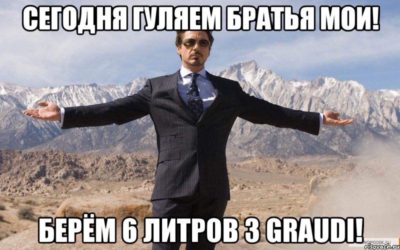 сегодня гуляем братья мои! берём 6 литров 3 graudi!, Мем железный человек