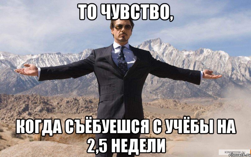 то чувство, когда съёбуешся с учёбы на 2,5 недели, Мем железный человек