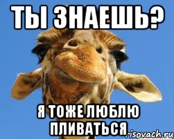 ты знаешь? я тоже люблю пливаться, Мем жираф