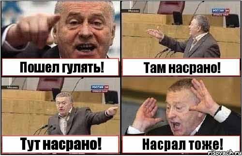 Пошел гулять! Там насрано! Тут насрано! Насрал тоже!, Комикс жиреновский