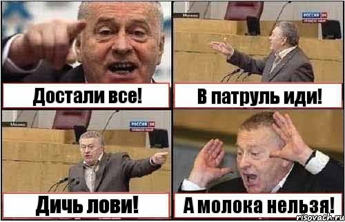 Достали все! В патруль иди! Дичь лови! А молока нельзя!, Комикс жиреновский