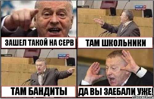 ЗАШЕЛ ТАКОЙ НА СЕРВ ТАМ ШКОЛЬНИКИ ТАМ БАНДИТЫ ДА ВЫ ЗАЕБАЛИ УЖЕ!, Комикс жиреновский