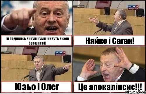 Ти подивись які унікуми живуть в селі Брошневі! Няйко і Саган! Юзьо і Олег Це апокаліпсис!!!, Комикс жиреновский