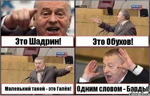 Это Шадрин! Это Обухов! Маленький такой - это Галёв! Одним словом - Барды!, Комикс жиреновский