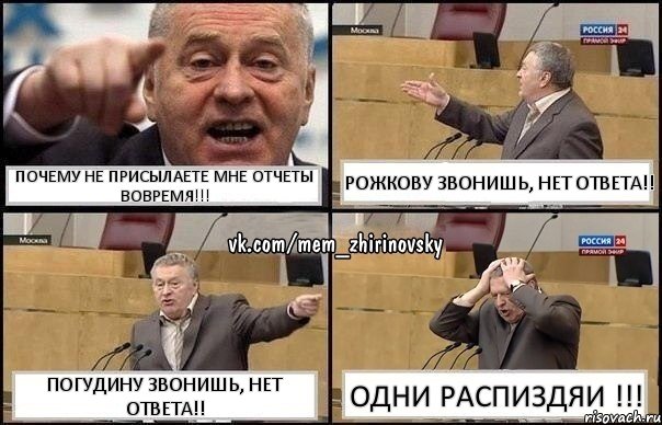 Почему не присылаете мне отчеты ВОВРЕМЯ!!! Рожкову звонишь, нет ответа!! Погудину звонишь, нет ответа!! ОДНИ РАСПИЗДЯИ !!!, Комикс Жирик