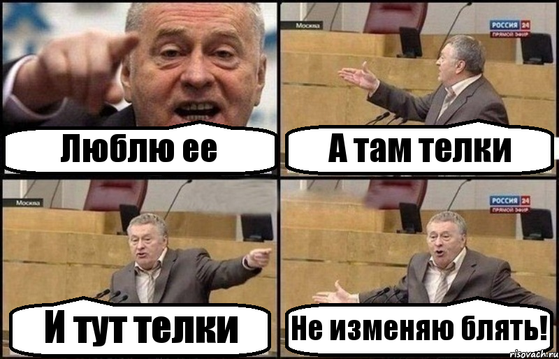 Люблю ее А там телки И тут телки Не изменяю блять!, Комикс Жириновский