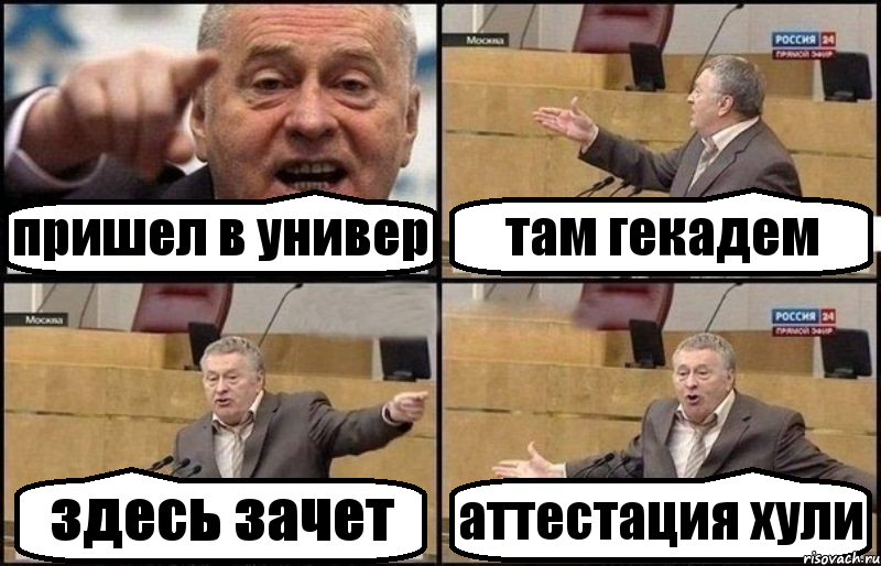 пришел в универ там гекадем здесь зачет аттестация хули, Комикс Жириновский