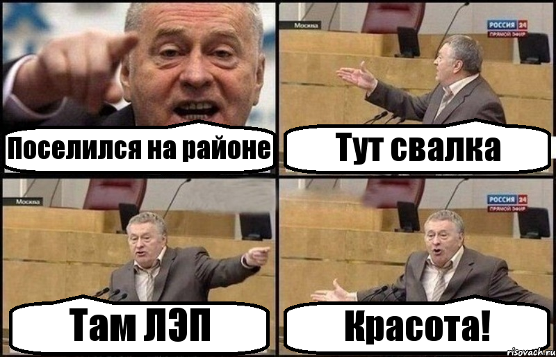 Поселился на районе Тут свалка Там ЛЭП Красота!, Комикс Жириновский