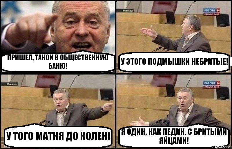 ПРИШЁЛ, ТАКОЙ В ОБЩЕСТВЕННУЮ БАНЮ! У ЭТОГО ПОДМЫШКИ НЕБРИТЫЕ! У ТОГО МАТНЯ ДО КОЛЕН! Я ОДИН, КАК ПЕДИК, С БРИТЫМИ ЯЙЦАМИ!, Комикс Жириновский