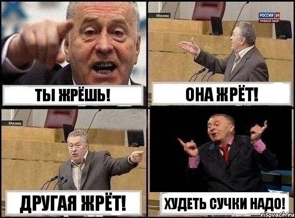 Ты жрёшь! Она жрёт! Другая жрёт! Худеть сучки надо!, Комикс Жириновский клоуничает