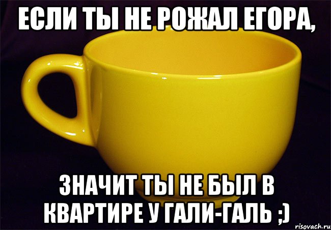 если ты не рожал егора, значит ты не был в квартире у гали-галь ;), Мем Жёлтые кружечки