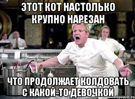 этот кот настолько крупно нарезан что продолжает колдовать с какой-то девочкой, Мем Шеф Рамзи