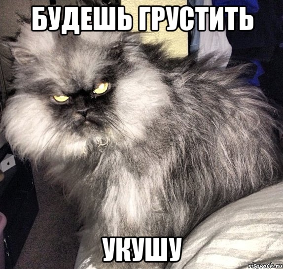 будешь грустить укушу