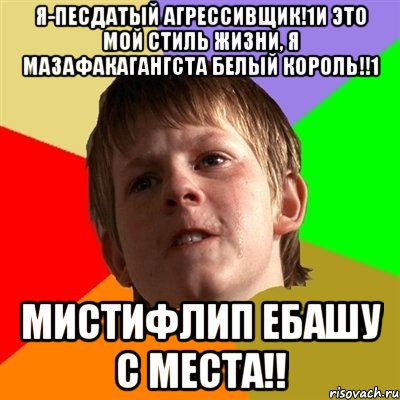 я-песдатый агрессивщик!1и это мой стиль жизни, я мазафакагангста белый король!!1 мистифлип ебашу с места!!, Мем Злой школьник