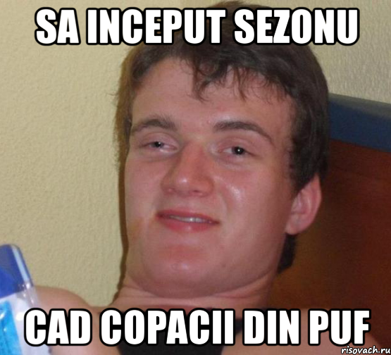 sa inceput sezonu cad copacii din puf, Мем 10 guy (Stoner Stanley really high guy укуренный парень)