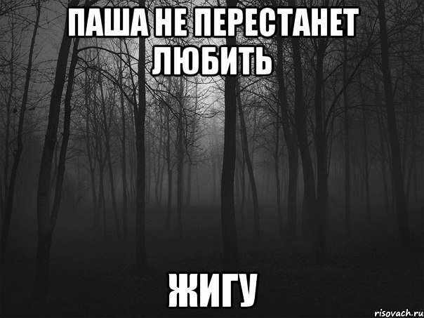 паша не перестанет любить жигу, Мем 1