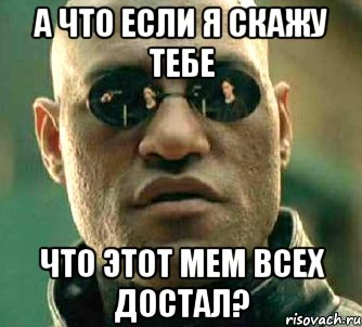 а что если я скажу тебе что этот мем всех достал?