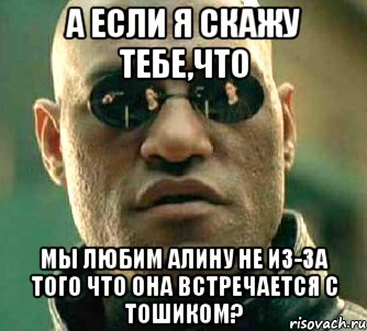 а если я скажу тебе,что мы любим алину не из-за того что она встречается с тошиком?, Мем  а что если я скажу тебе