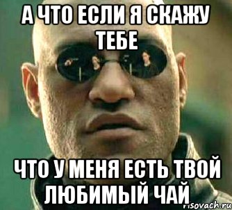 а что если я скажу тебе что у меня есть твой любимый чай, Мем  а что если я скажу тебе