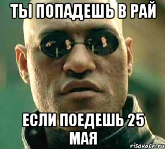 ты попадешь в рай если поедешь 25 мая, Мем  а что если я скажу тебе