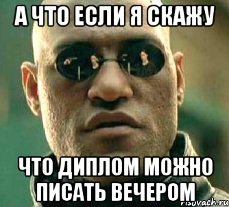 а что если я скажу что диплом можно писать вечером, Мем  а что если я скажу тебе