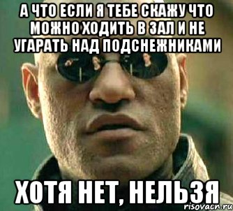 а что если я тебе скажу что можно ходить в зал и не угарать над подснежниками хотя нет, нельзя, Мем  а что если я скажу тебе