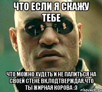 что если я скажу тебе что можно худеть и не палиться на своей стене вк,подтверждая,что ты жирная корова :3, Мем  а что если я скажу тебе