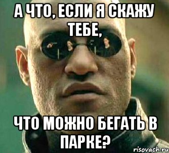 а что, если я скажу тебе, что можно бегать в парке?, Мем  а что если я скажу тебе