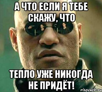 а что если я тебе скажу, что тепло уже никогда не придёт!, Мем  а что если я скажу тебе