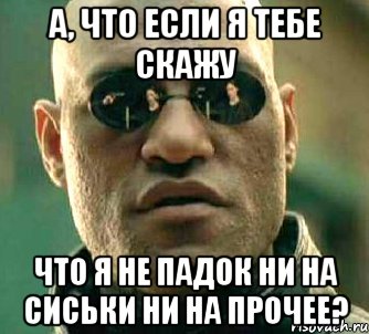 а, что если я тебе скажу что я не падок ни на сиськи ни на прочее?, Мем  а что если я скажу тебе