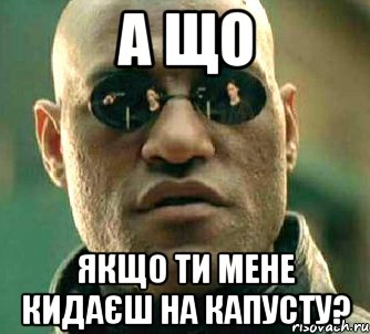 а що якщо ти мене кидаєш на капусту?, Мем  а что если я скажу тебе