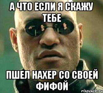 а что если я скажу тебе пшел нахер со своей фифой, Мем  а что если я скажу тебе