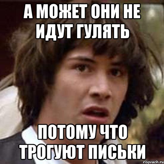 а может они не идут гулять потому что трогуют письки, Мем А что если (Киану Ривз)