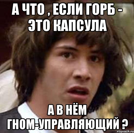 а что , если горб - это капсула а в нём гном-управляющий ?, Мем А что если (Киану Ривз)