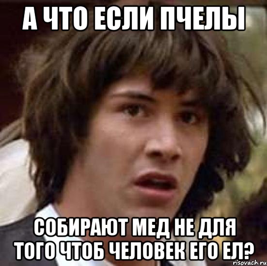 а что если пчелы собирают мед не для того чтоб человек его ел?, Мем А что если (Киану Ривз)