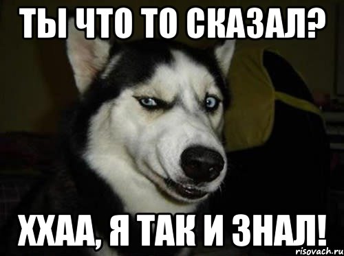 ты что то сказал? ххаа, я так и знал!