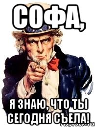 софа, я знаю, что ты сегодня съела!, Мем а ты