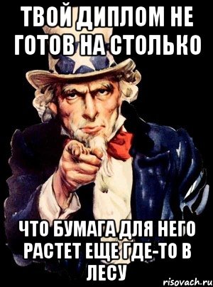 твой диплом не готов на столько что бумага для него растет еще где-то в лесу, Мем а ты