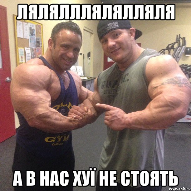 лялялллялялляля а в нас хуї не стоять, Мем а