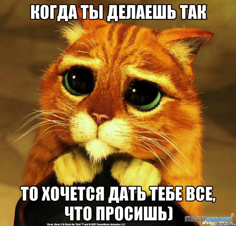 когда ты делаешь так то хочется дать тебе все, что просишь), Мем Котик из Шрека