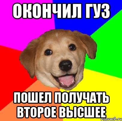 окончил гуз пошел получать второе высшее, Мем Advice Dog