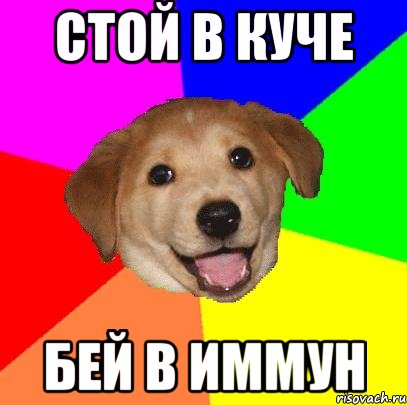 стой в куче бей в иммун, Мем Advice Dog