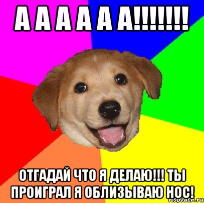 а а а а а а!!! отгадай что я делаю!!! ты проиграл я облизываю нос!, Мем Advice Dog