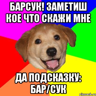 барсук! заметиш кое что скажи мне да подсказку: бар/сук, Мем Advice Dog