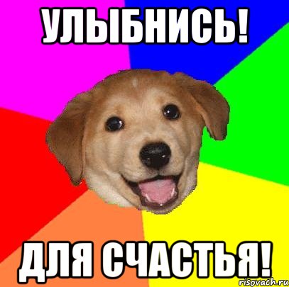 улыбнись! для счастья!, Мем Advice Dog