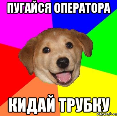 пугайся оператора кидай трубку, Мем Advice Dog