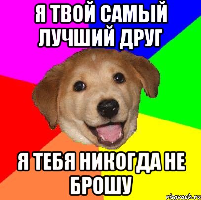 я твой самый лучший друг я тебя никогда не брошу, Мем Advice Dog